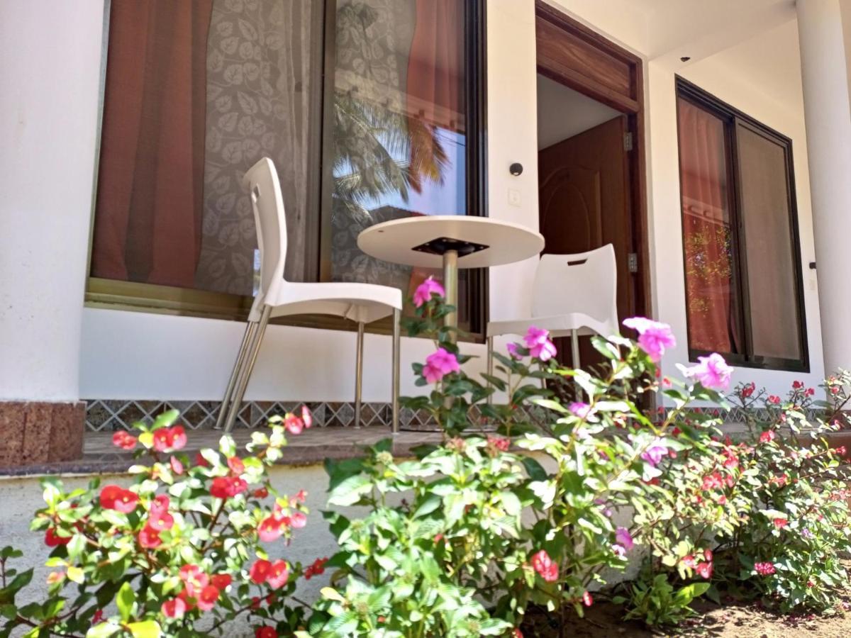 Cassiopeia Nest Arambol Exterior foto